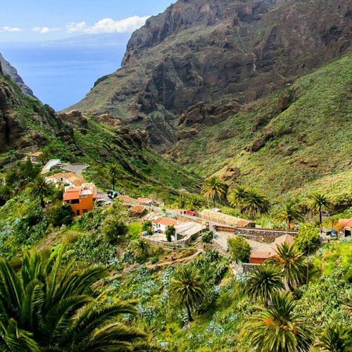 Masca Hamlet & Teno Massif: Guided Hiking Tour from Las Portelas