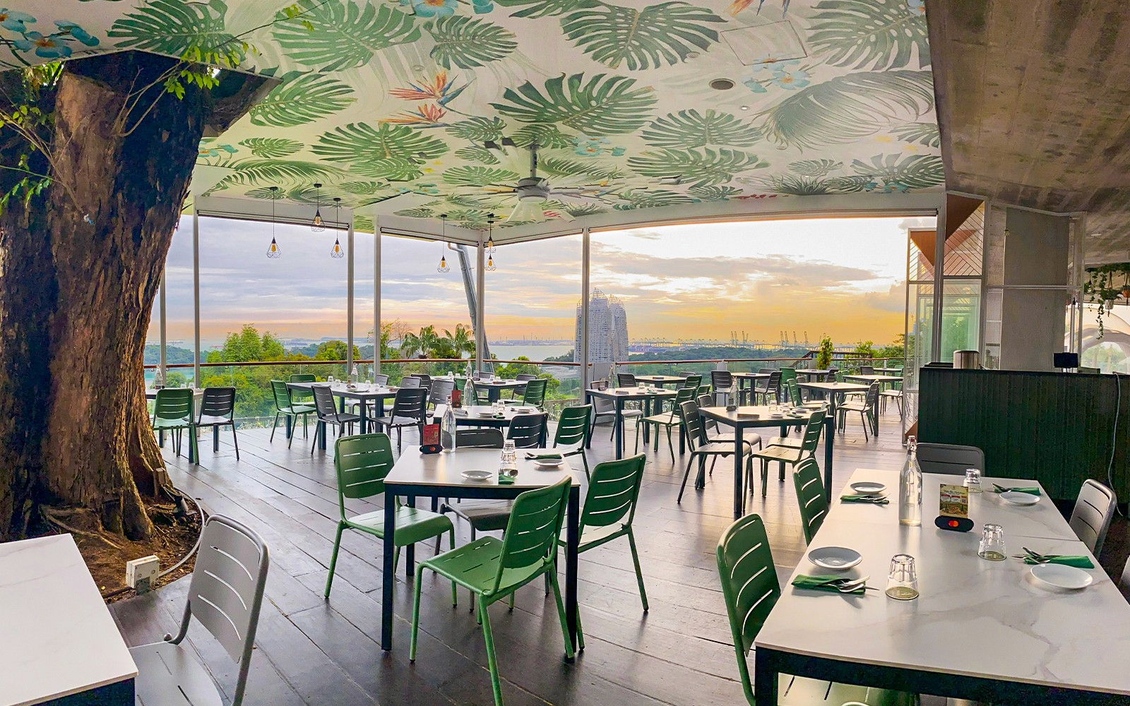 Singapore Cable Car SkyPass with Meals at Arbora Cafe — gallery 4