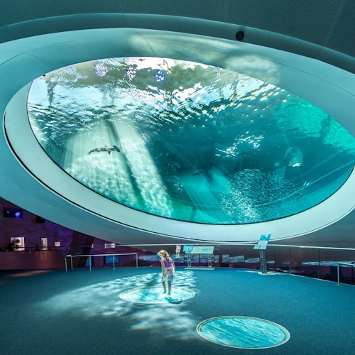 Phillip & Patricia Frost Museum of Science, Aquarium & Planetarium: Entry Ticket — gallery 1