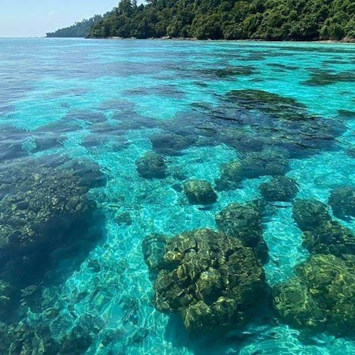 Krabi One day Koh Rok & Koh Haa Island from Aonang — gallery 1