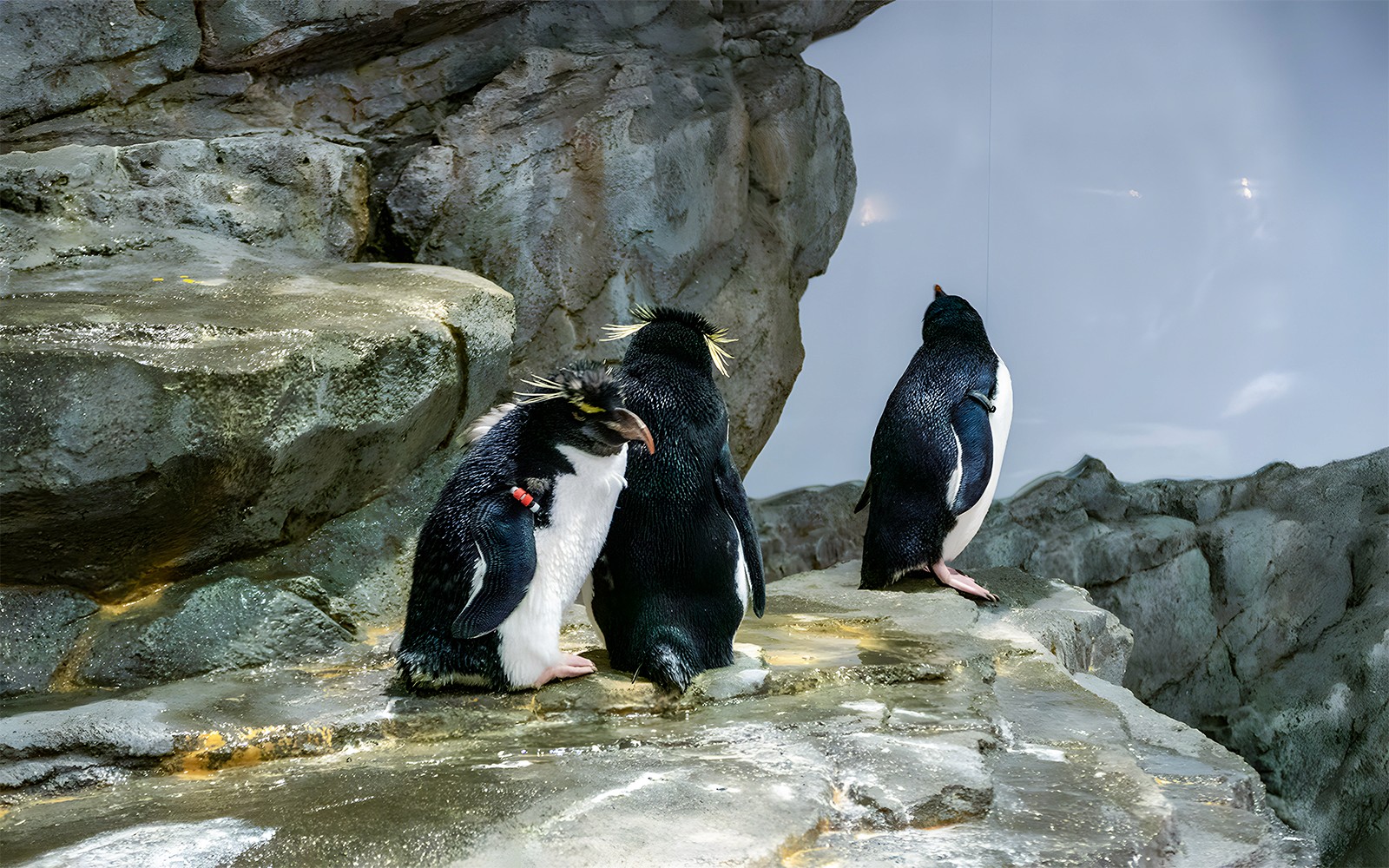 Langkawi Underwater World Tickets