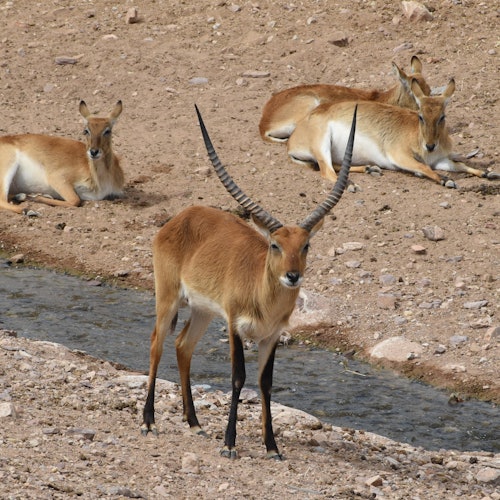 Terra Natura Murcia: Entry Ticket — gallery 5