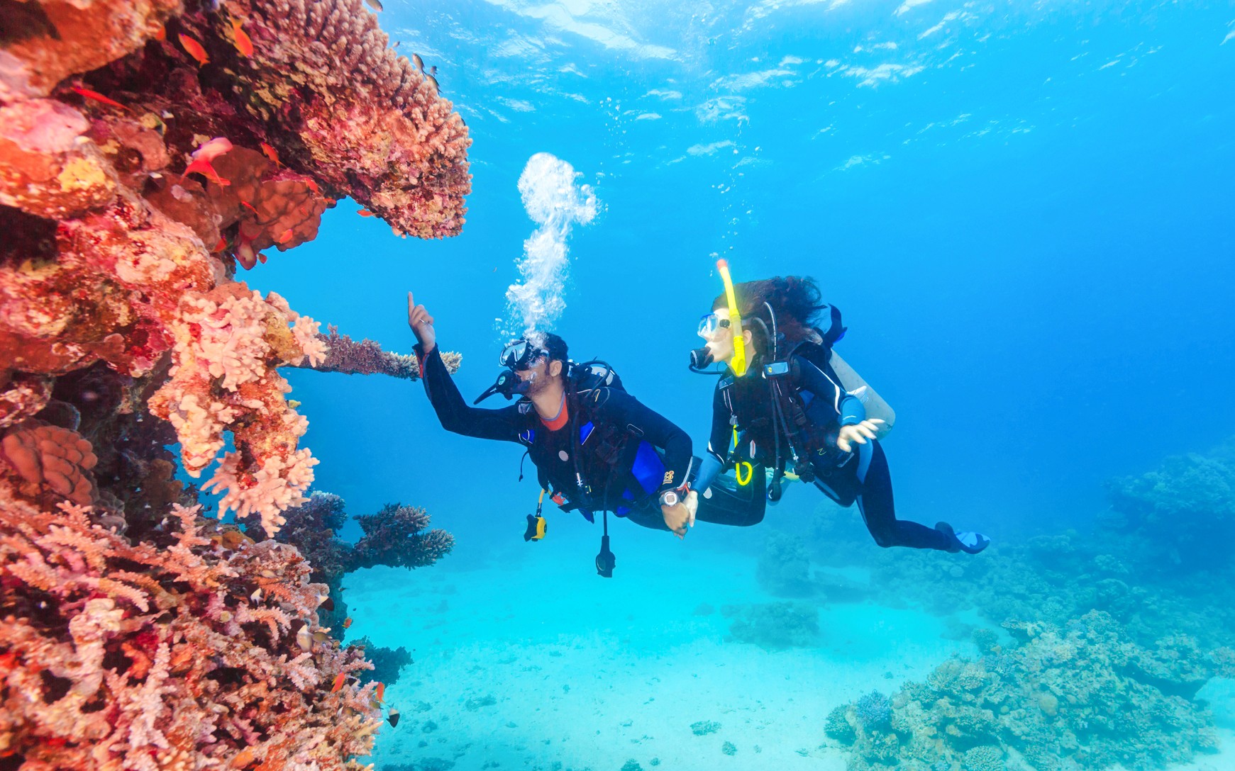 From Sharm El-Sheikh: Diving at Ras Mohamed & White Island with Round-Trip Hotel Transfers — gallery 5