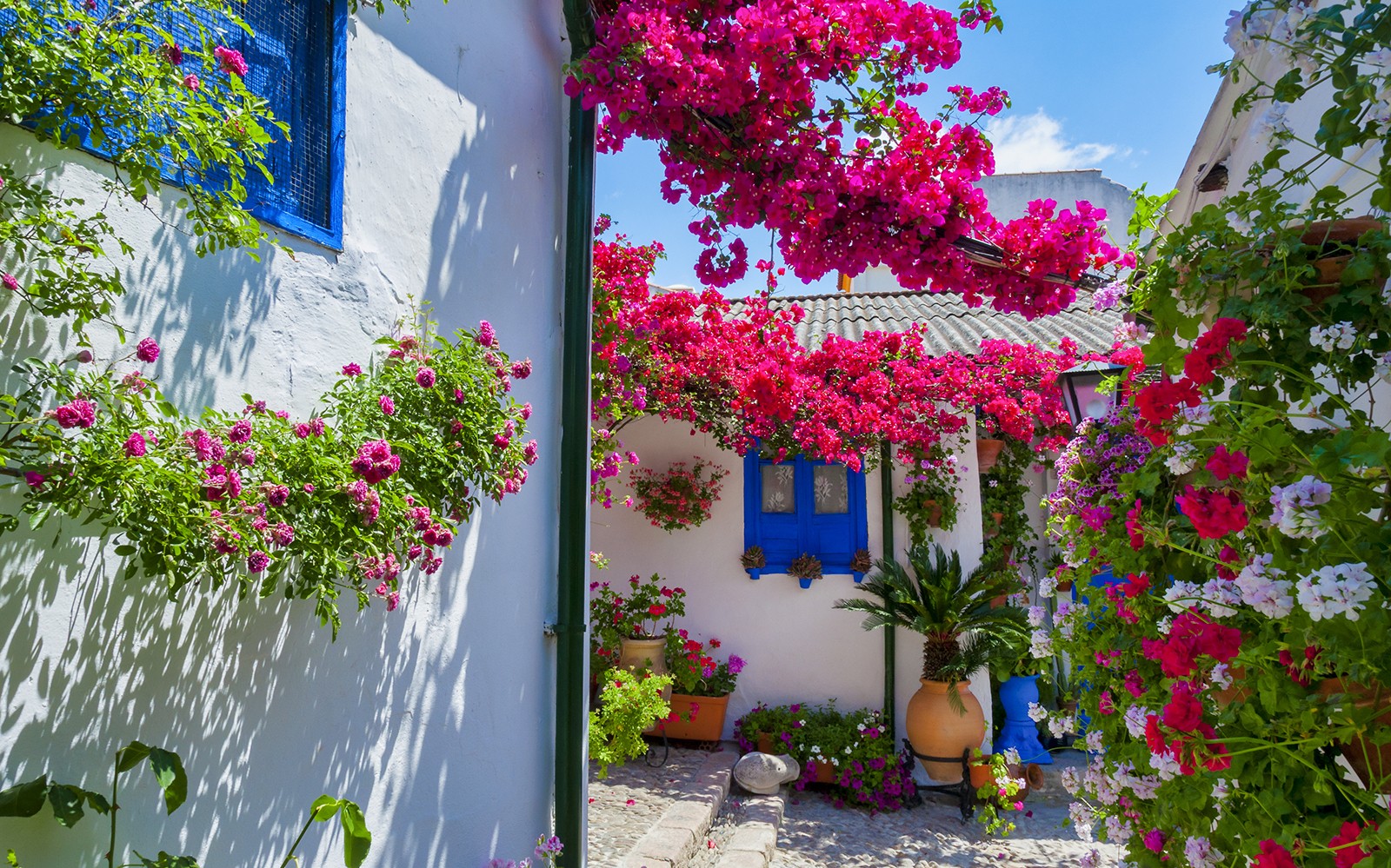 Authentic Patios of Cordoba Skip-the-Line Guided Tour — gallery 1