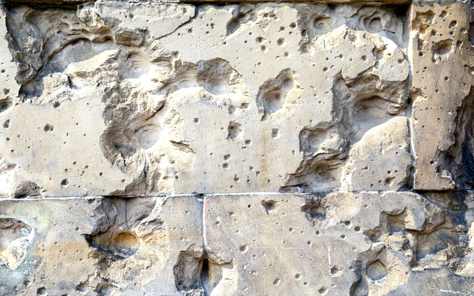 World War II And The Third Reich Walking Tour Of Berlin