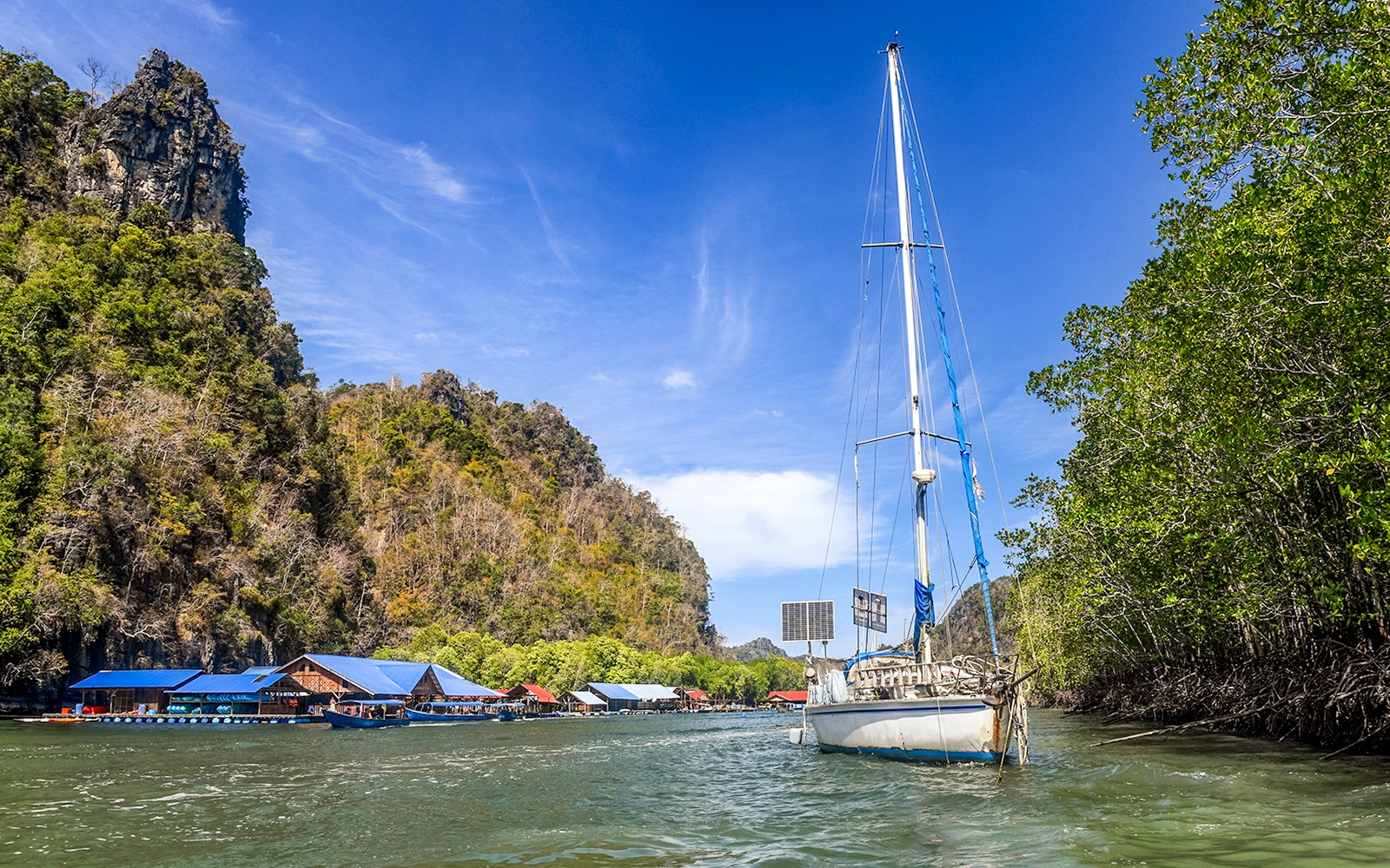 Langkawi Mangrove Tour