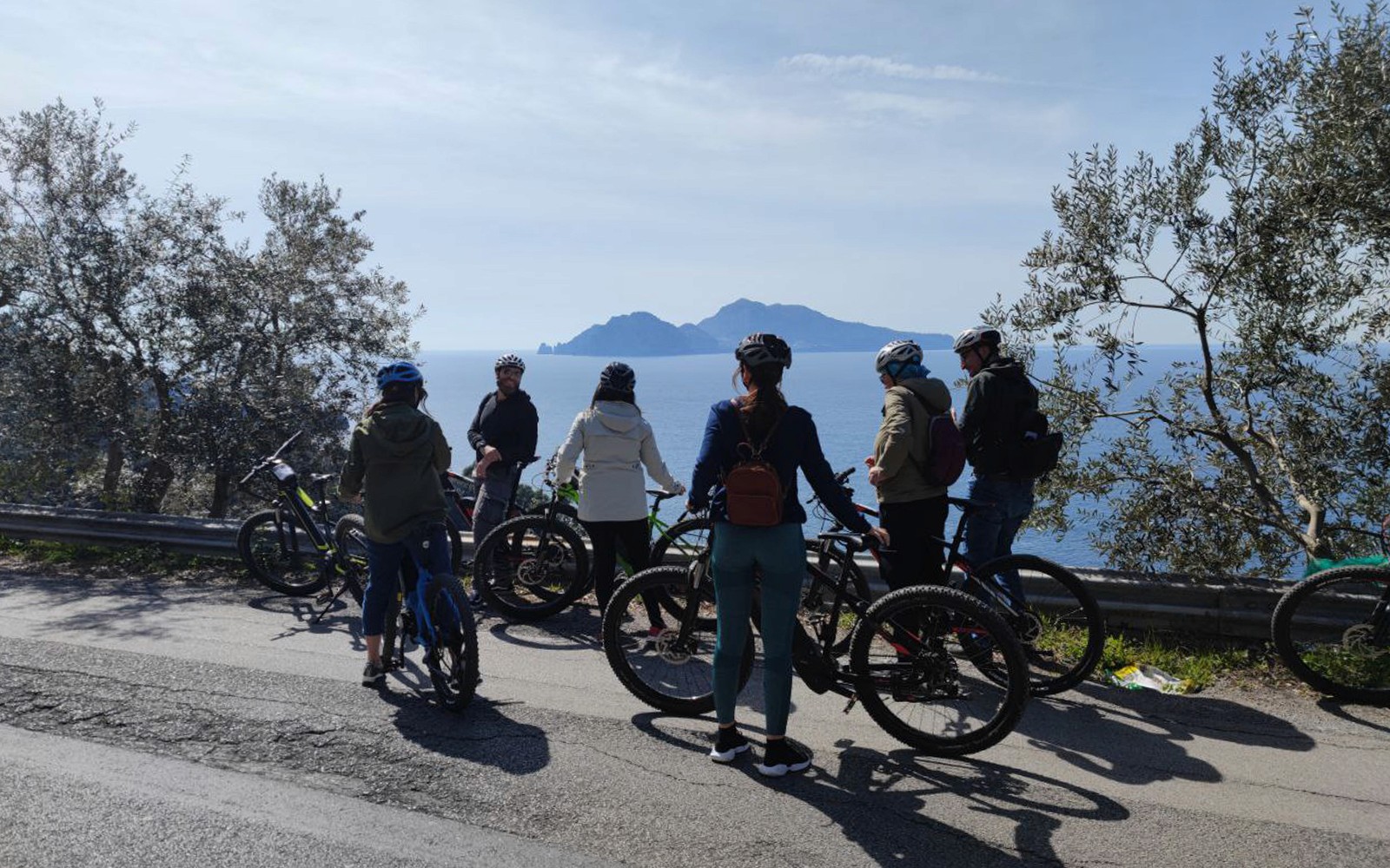 From Sorrento: Mount Vesuvius Guided E-Bike Tour