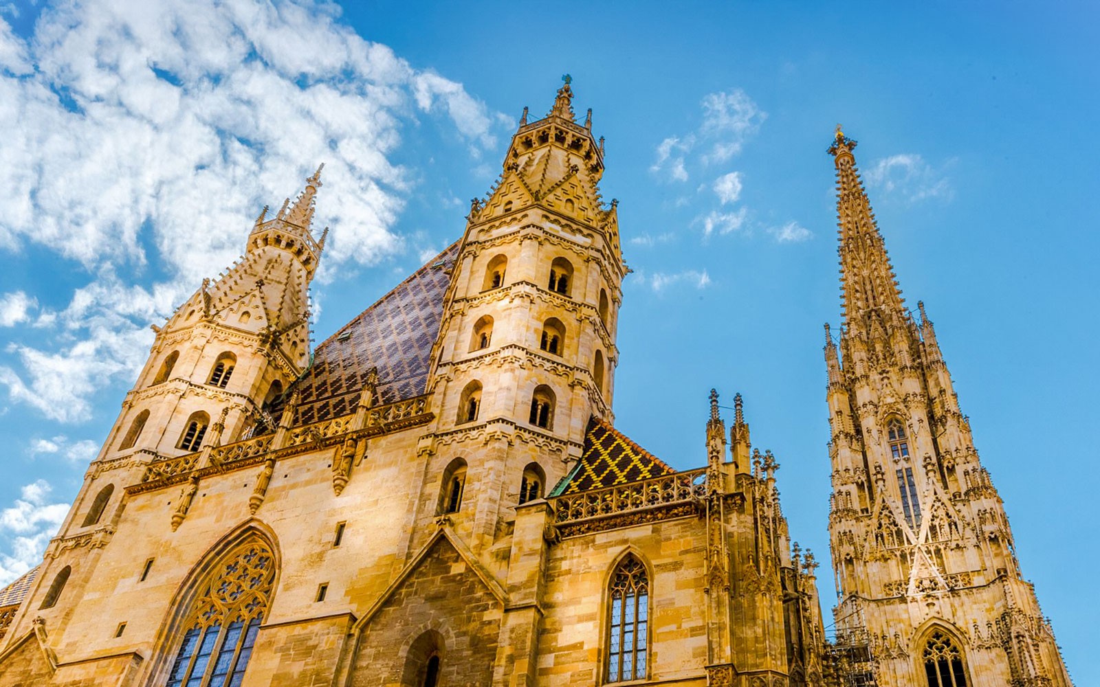 St. Stephen's Cathedral: Vivaldi's Four Seasons Concert — gallery 4