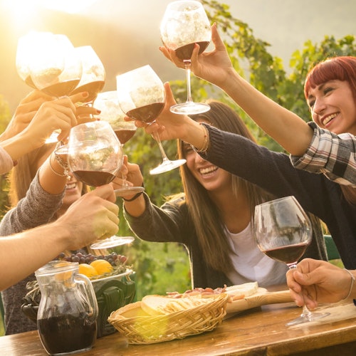 Mornington Peninsula: Day Tour + Gondola Ride + Lunch + Wine & Chocolate Tasting — gallery 2
