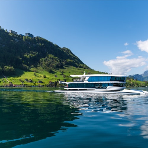 1-Hour Catamaran Cruise on Lake Lucerne — gallery 1
