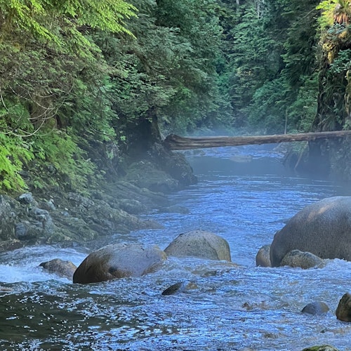 Vancouver: Guided Rainforest Hike with Waterfalls & Suspension Bridge + Transfer — gallery 5