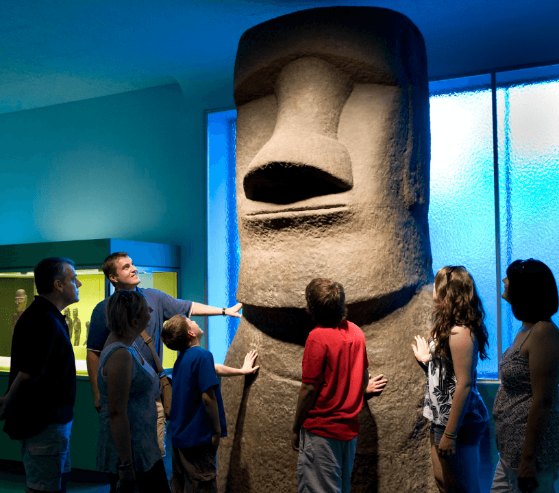 American Museum of Natural History (AMNH): Entry Ticket