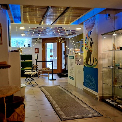 Cat Museum Budapest: Entry Ticket + Audio Guide