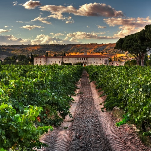 Ribera del Duero: Wine Tour and Tasting from Madrid — gallery 1