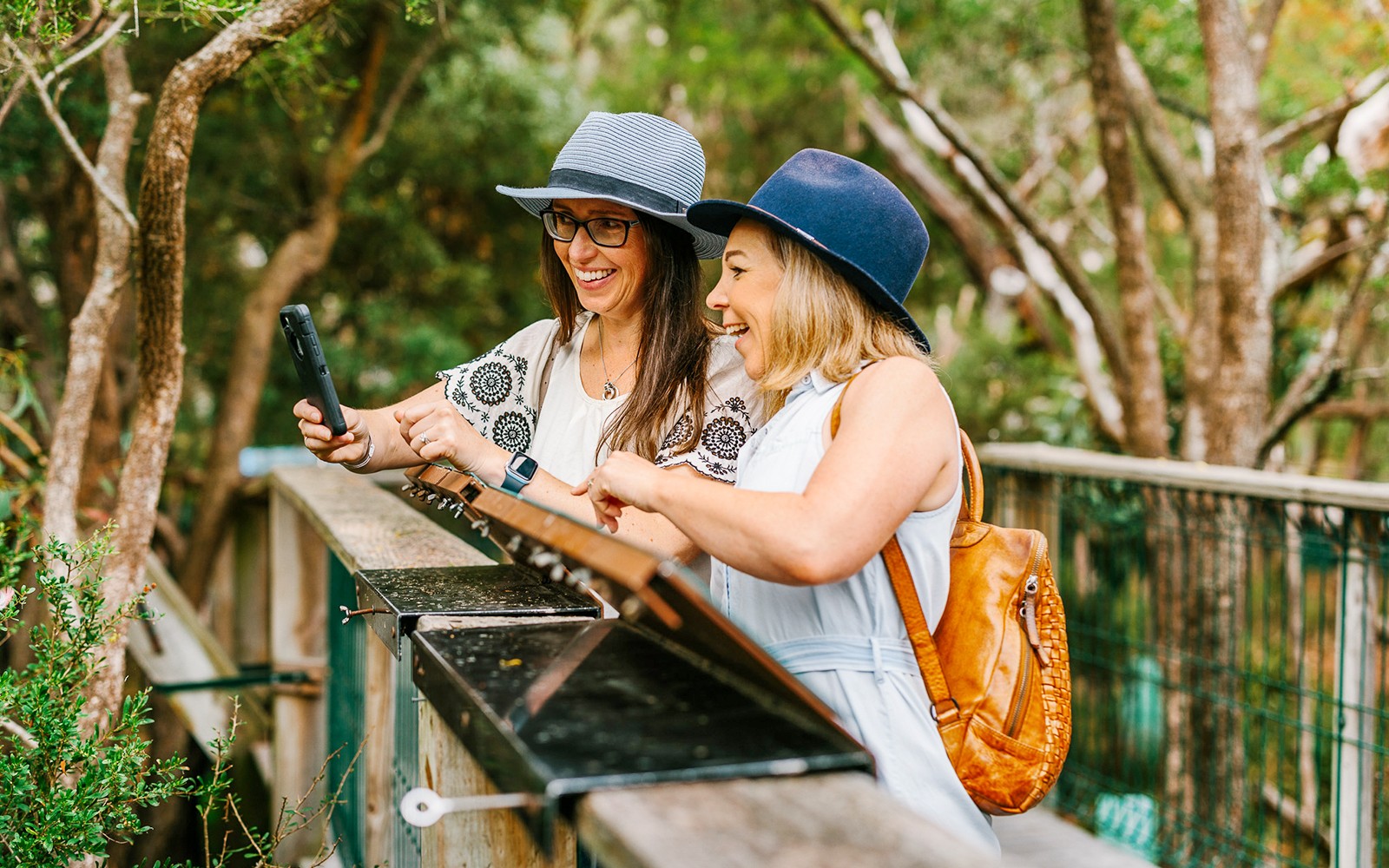 Koala Conservation Reserve Tickets & Optional Entry to Phillip Island Nature Parks — gallery 4