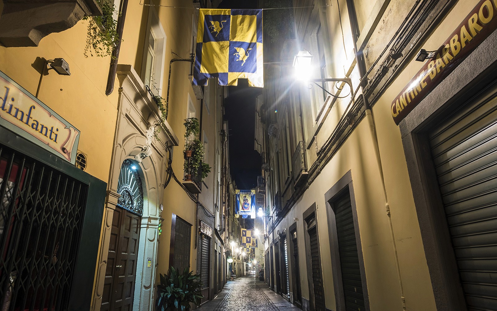 Italian Guided Tour through the Torino Noir