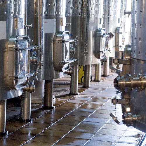 Martín Faixó | Sa Perafita: Guided Winery Tour — gallery 1