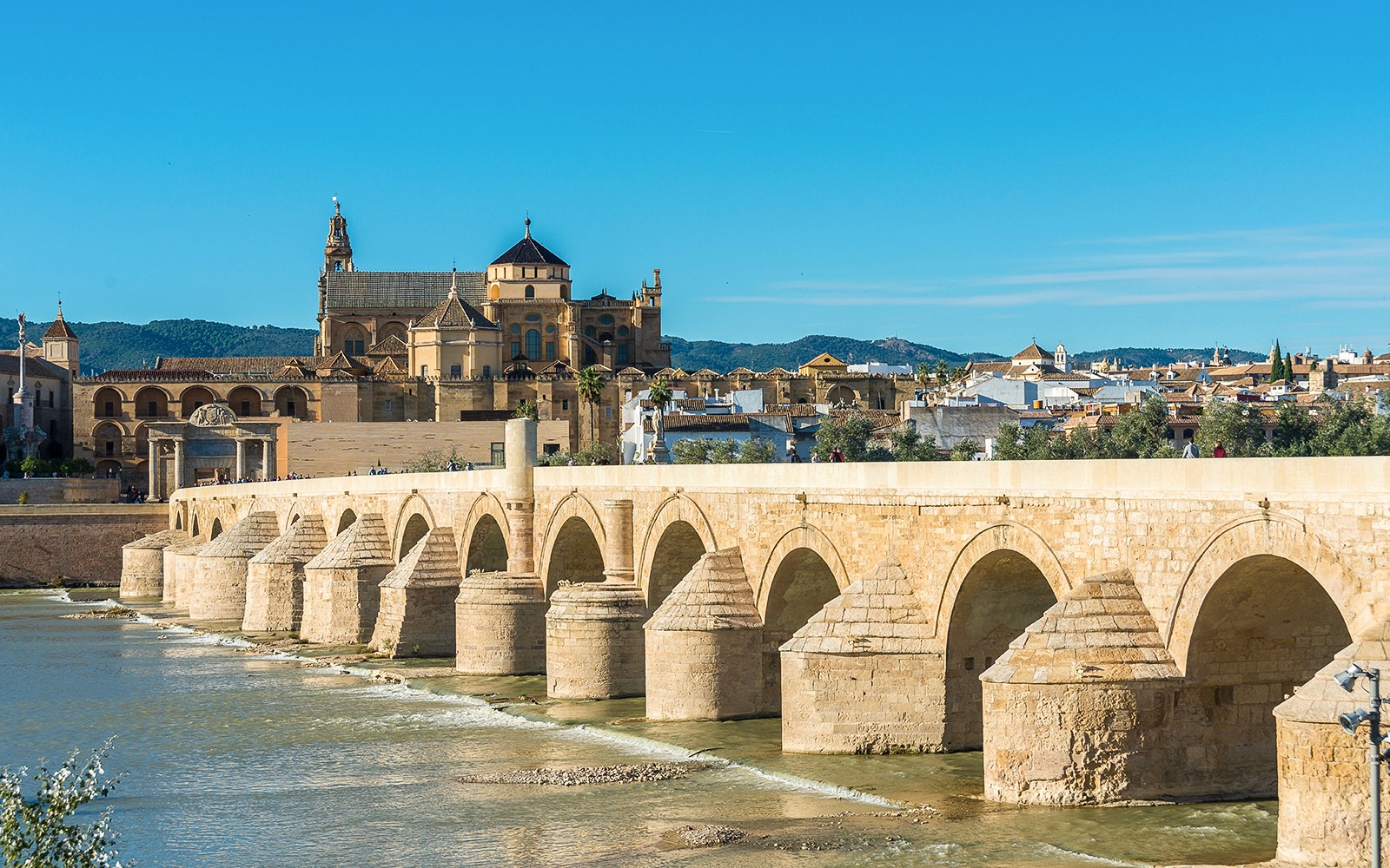 Day Tour of Córdoba from Seville with Córdoba Cathedral-Mosque Visit