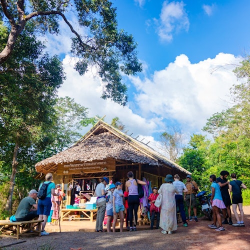 Doi Inthanon National Park: Guided Day Tour from Chiang Mai + Lunch + Transfers
