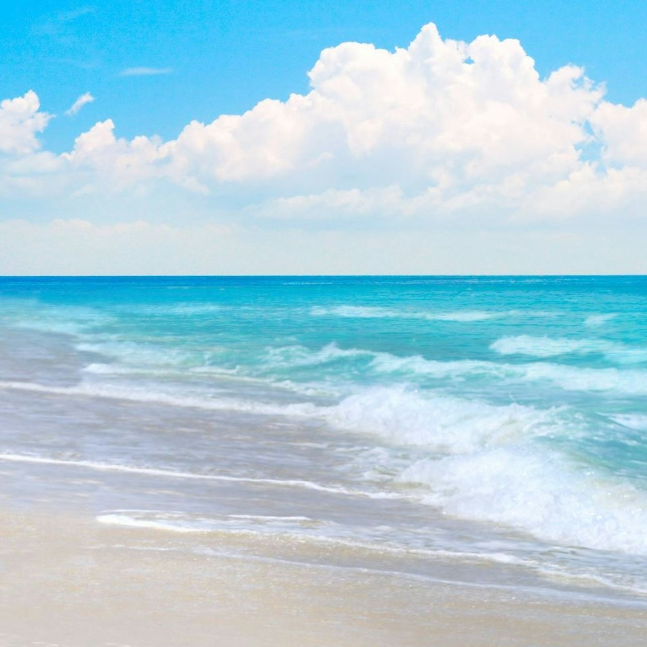 Bimini Bahamas: Roundtrip Ferry from Fort Lauderdale