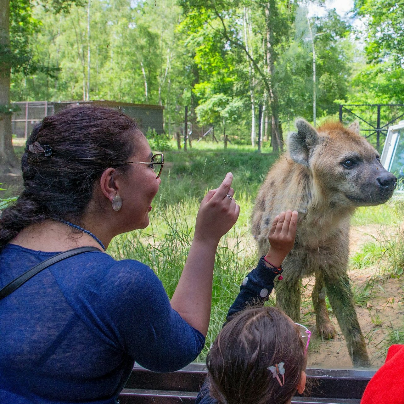 Safari Thoiry: Entry Ticket
