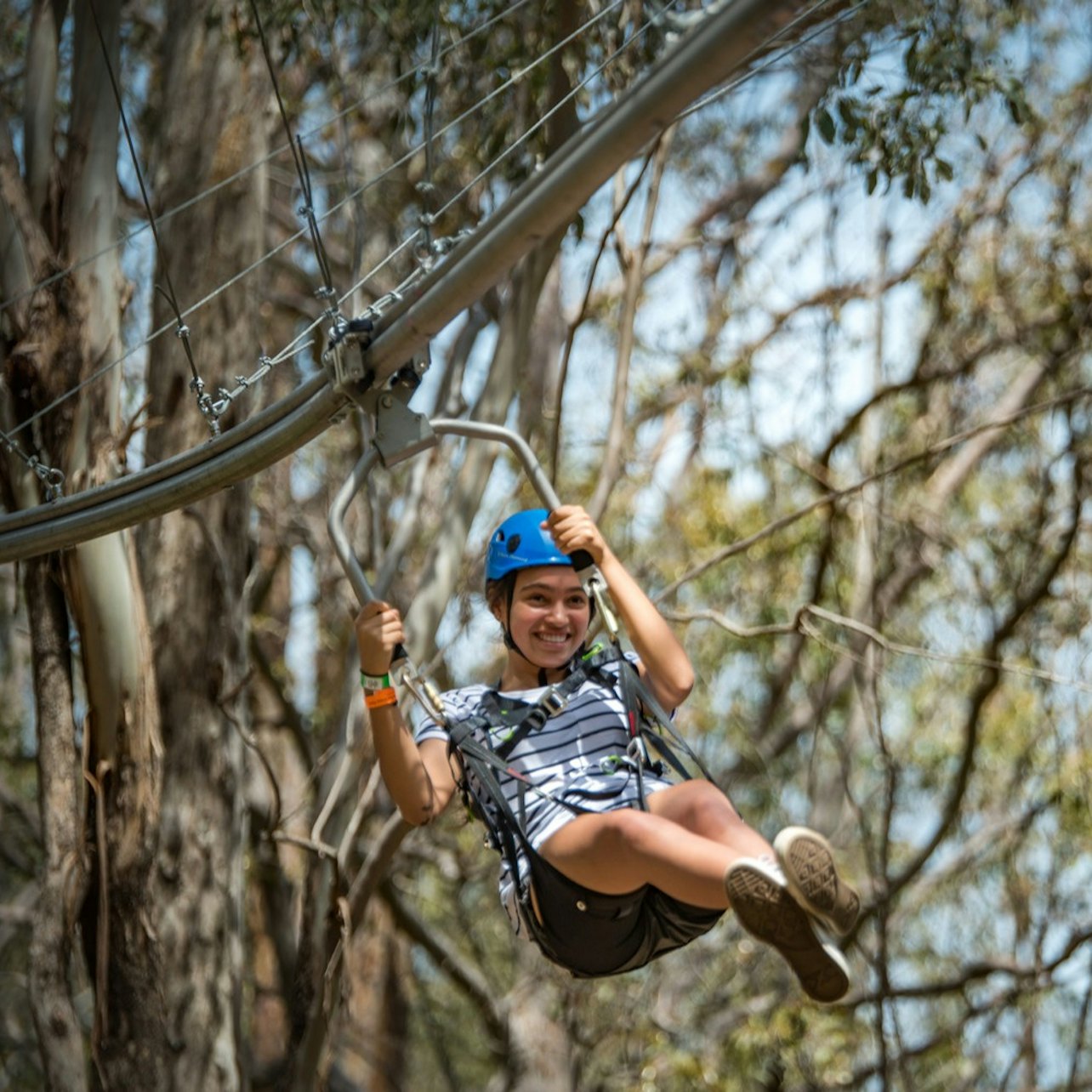 Treetops Adventure Central Coast: Zipcoaster Ride