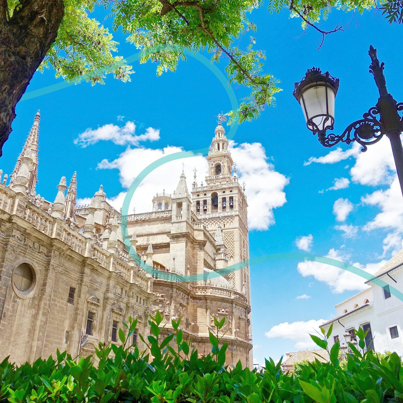 Seville Super Combo