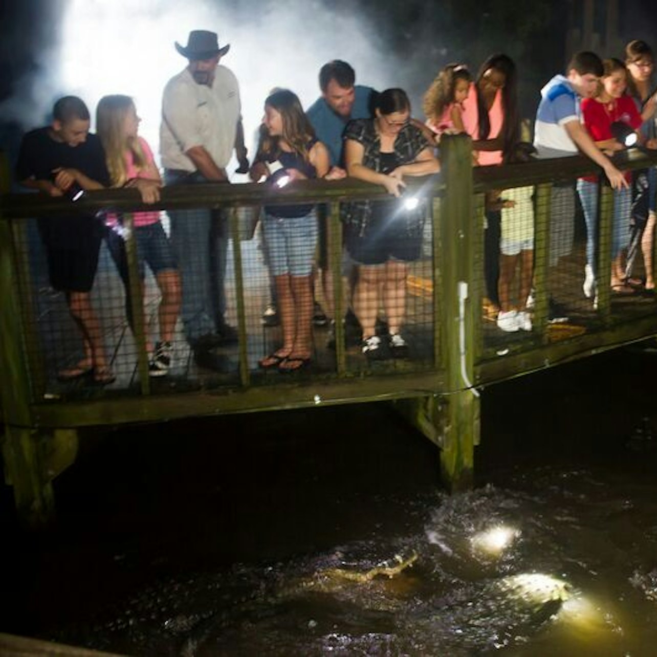 Gatorland Orlando: Gator Night Shine