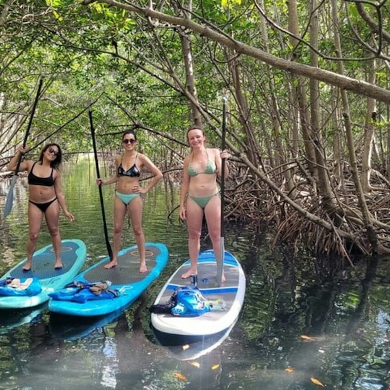 Miami: Nature & Island Exploration on SUP/Kayak