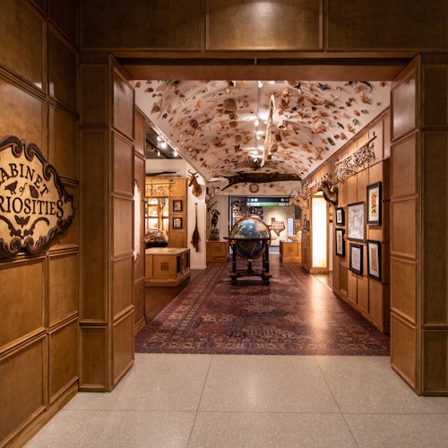 Houston Museum of Natural Science: Entry Ticket — gallery 1