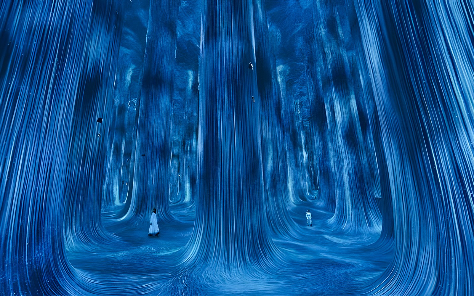 teamLab Phenomena Abu Dhabi Tickets
