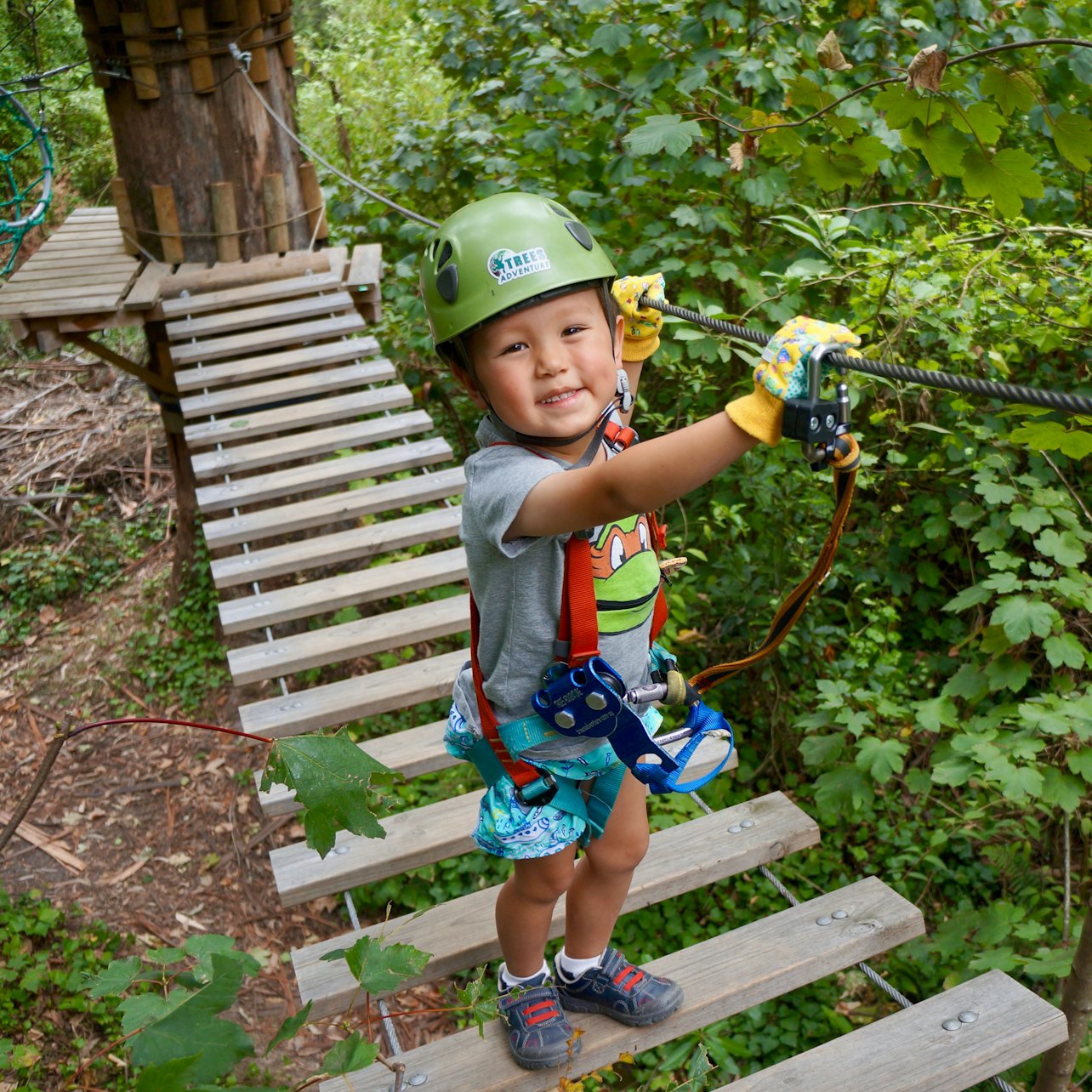 Treetops Adventure: Belgrave Park
