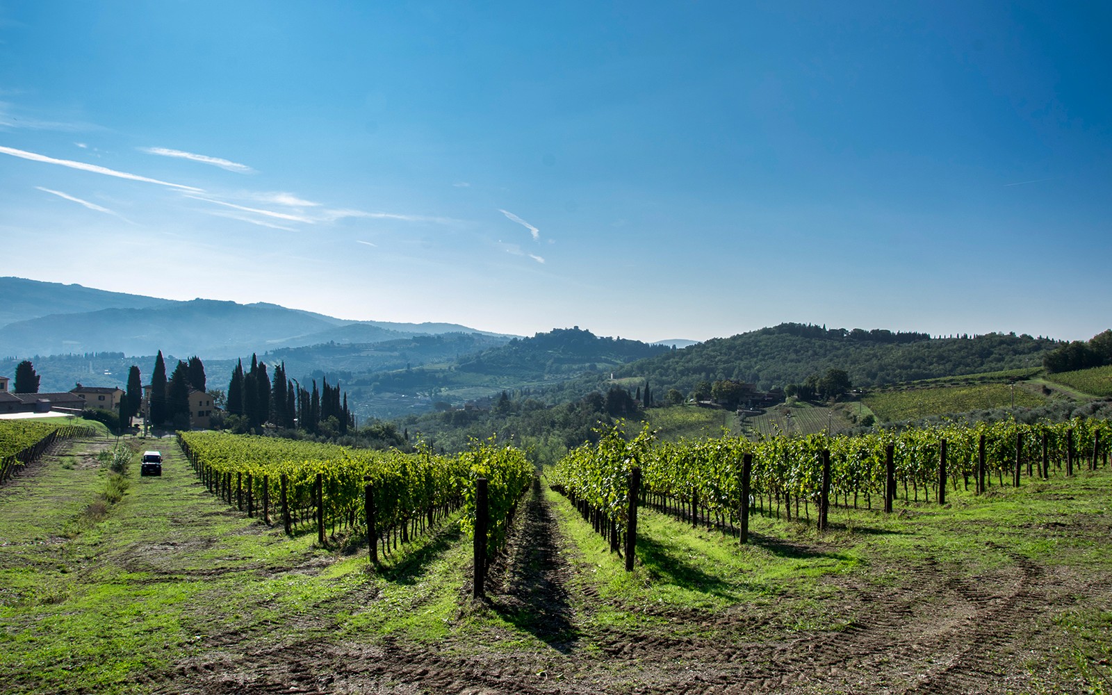 Taste of Chianti: Countryside Flavors & Vineyard Tour and Tastings — gallery 3