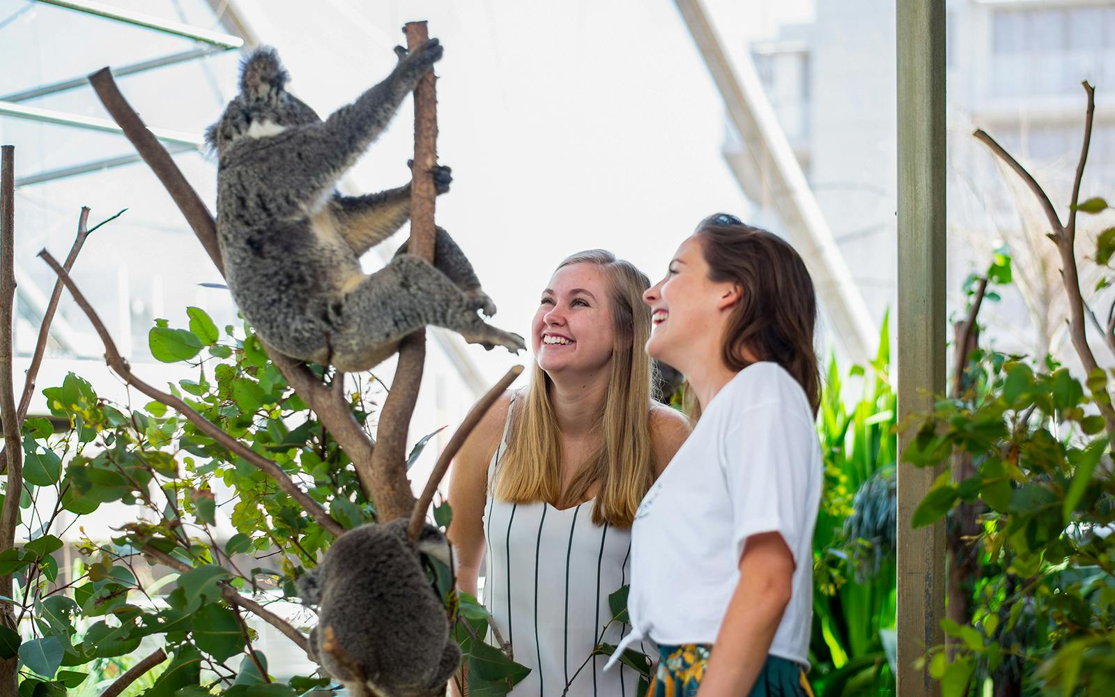 [Save upto 55%] Sydney 4 Attractions Pass