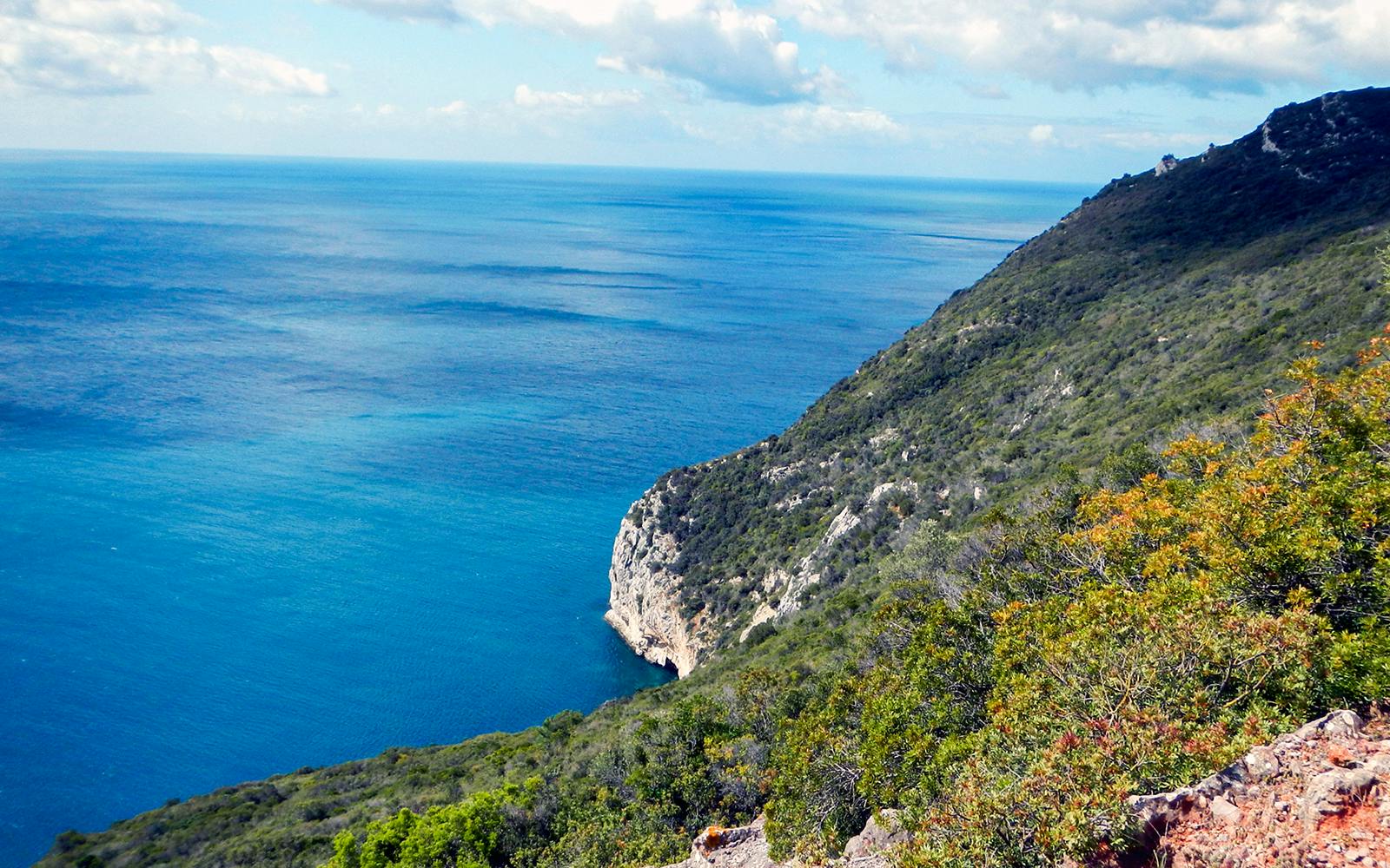 Half-Day Hiking at Arrábida Natural Park