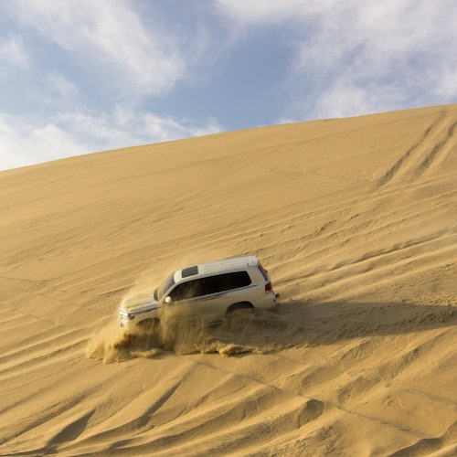 Full Day Desert Safari with BBQ Meal