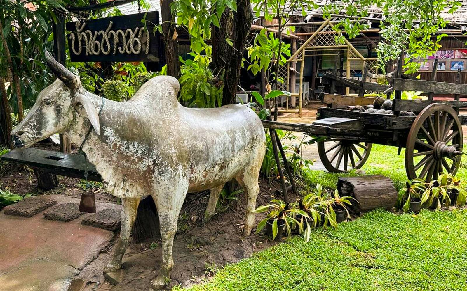Mae Ping River Cruise with Optional Lunch