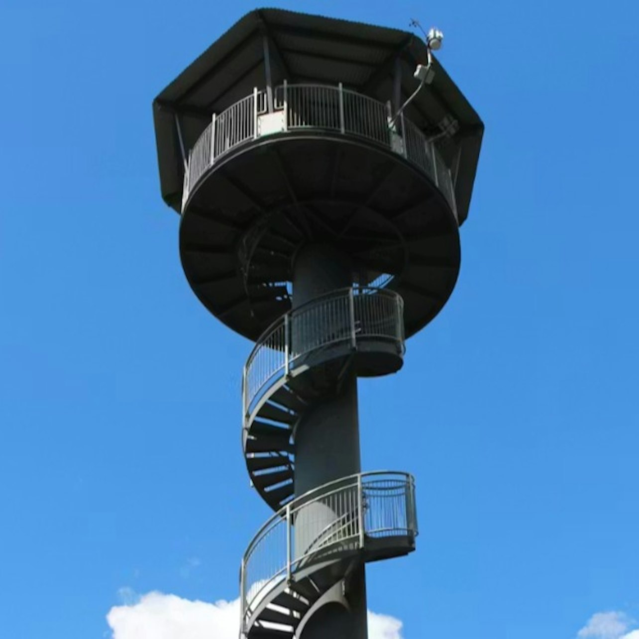 Illawarra Fly Treetop Adventures: Treetop Walk