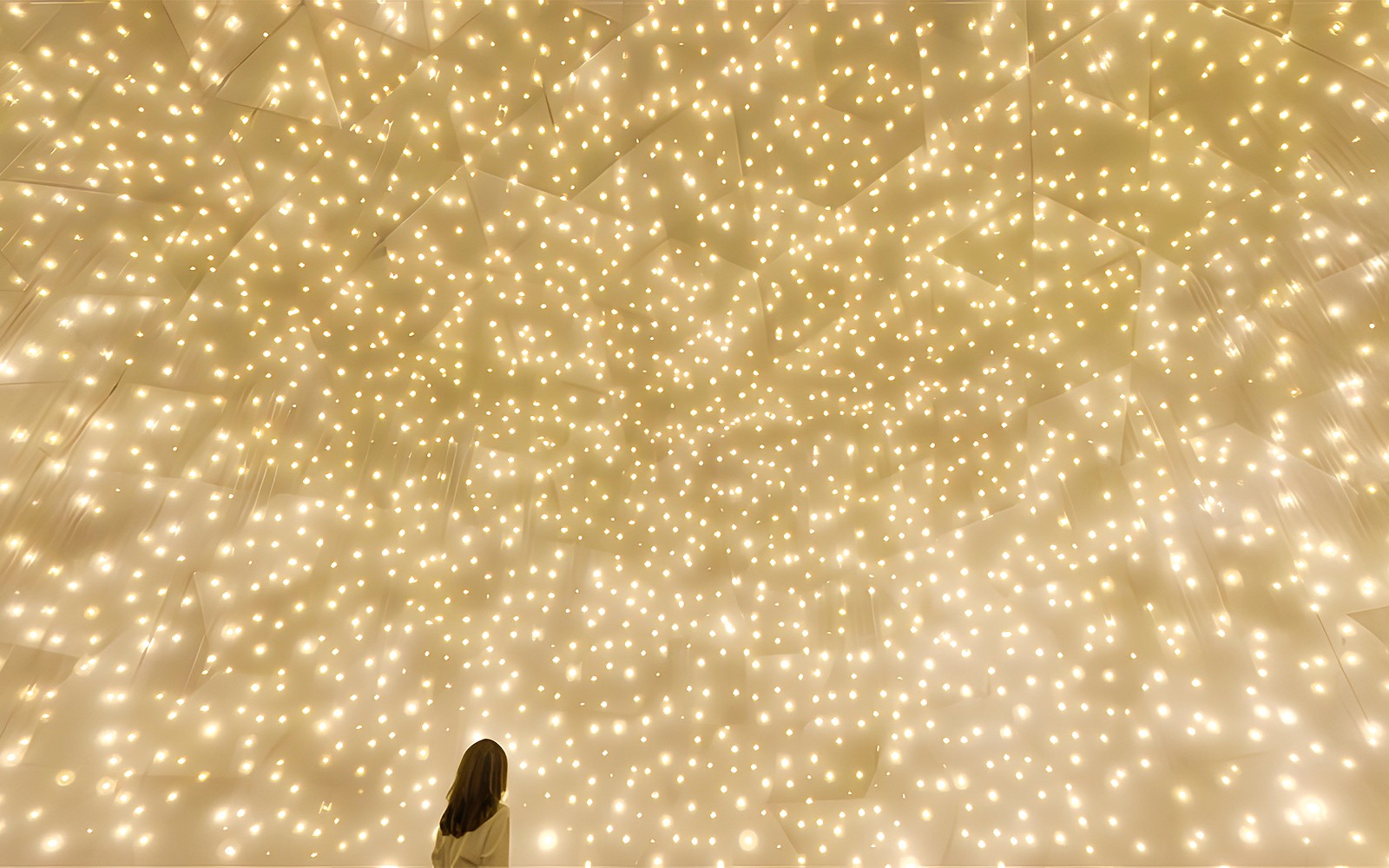 teamLab Phenomena Abu Dhabi Tickets