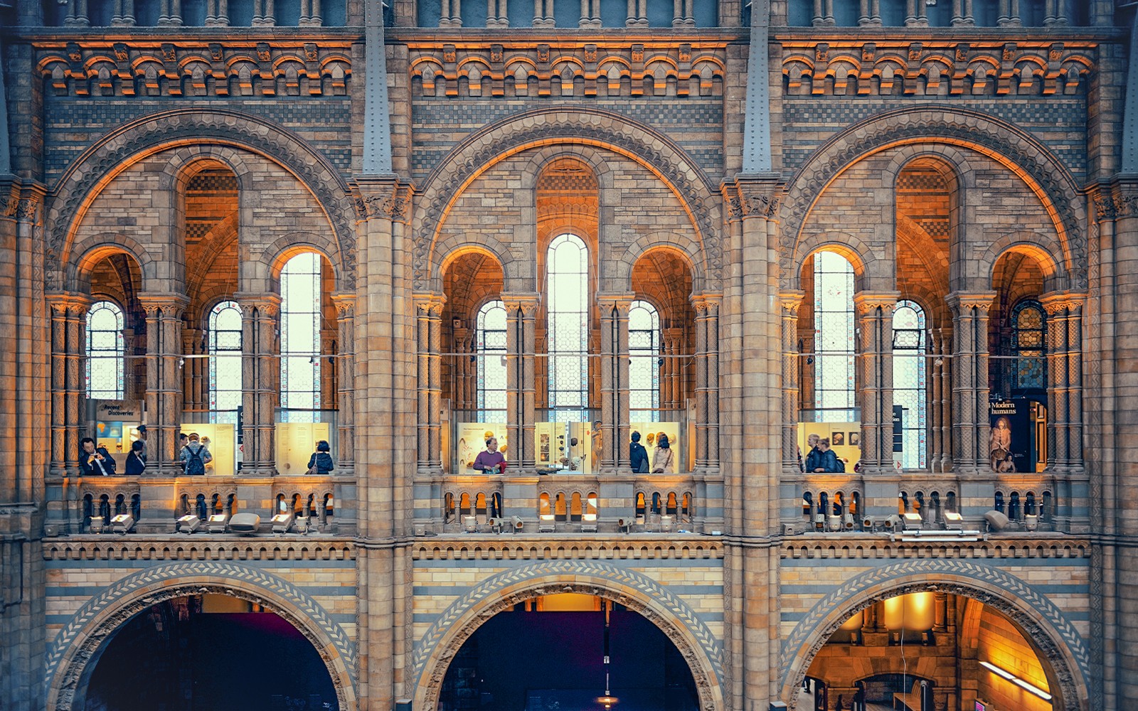 Natural History Museum Reserved Entry Ticket & Audio Tour