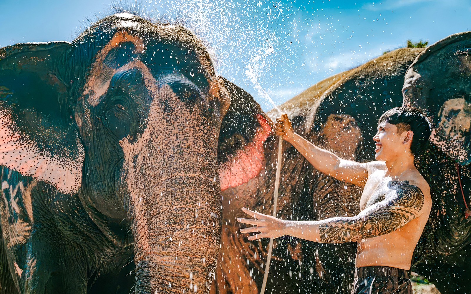 Phuket Elephant Care: Feed, Shower & Mud Spa Guided Tours with Optional Transfers