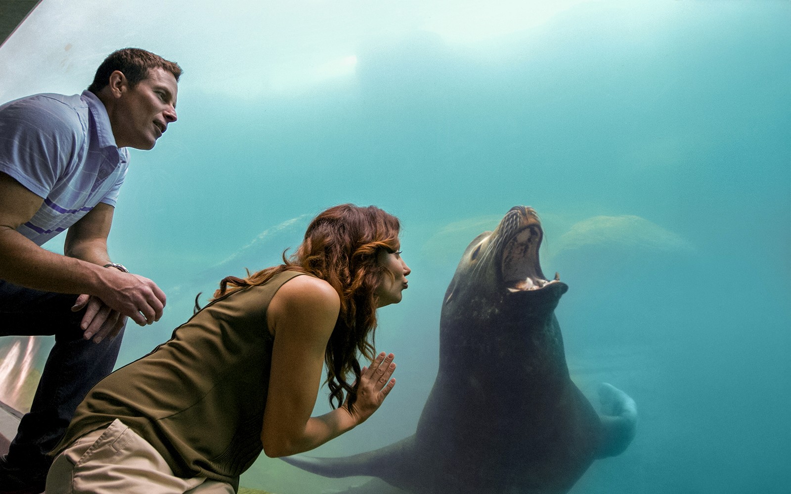 Aquarium of the Pacific Skip-the-Line Tickets