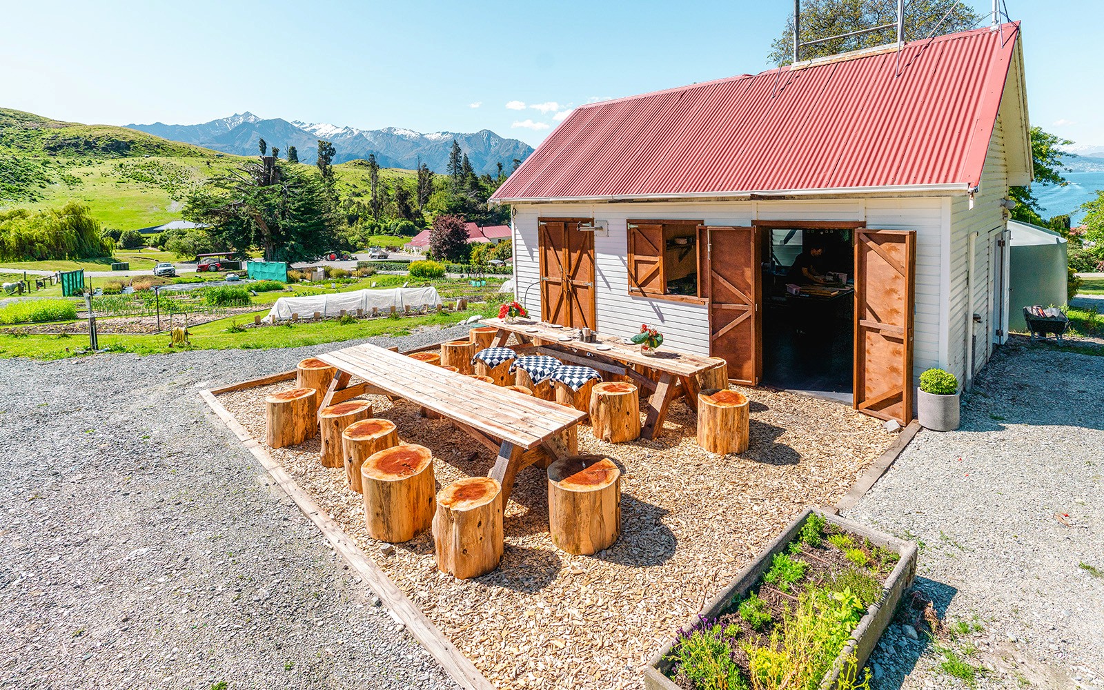 From Queenstown: TSS Earnslaw/Spirit of Queenstown Cruise with Gourmet BBQ Experience