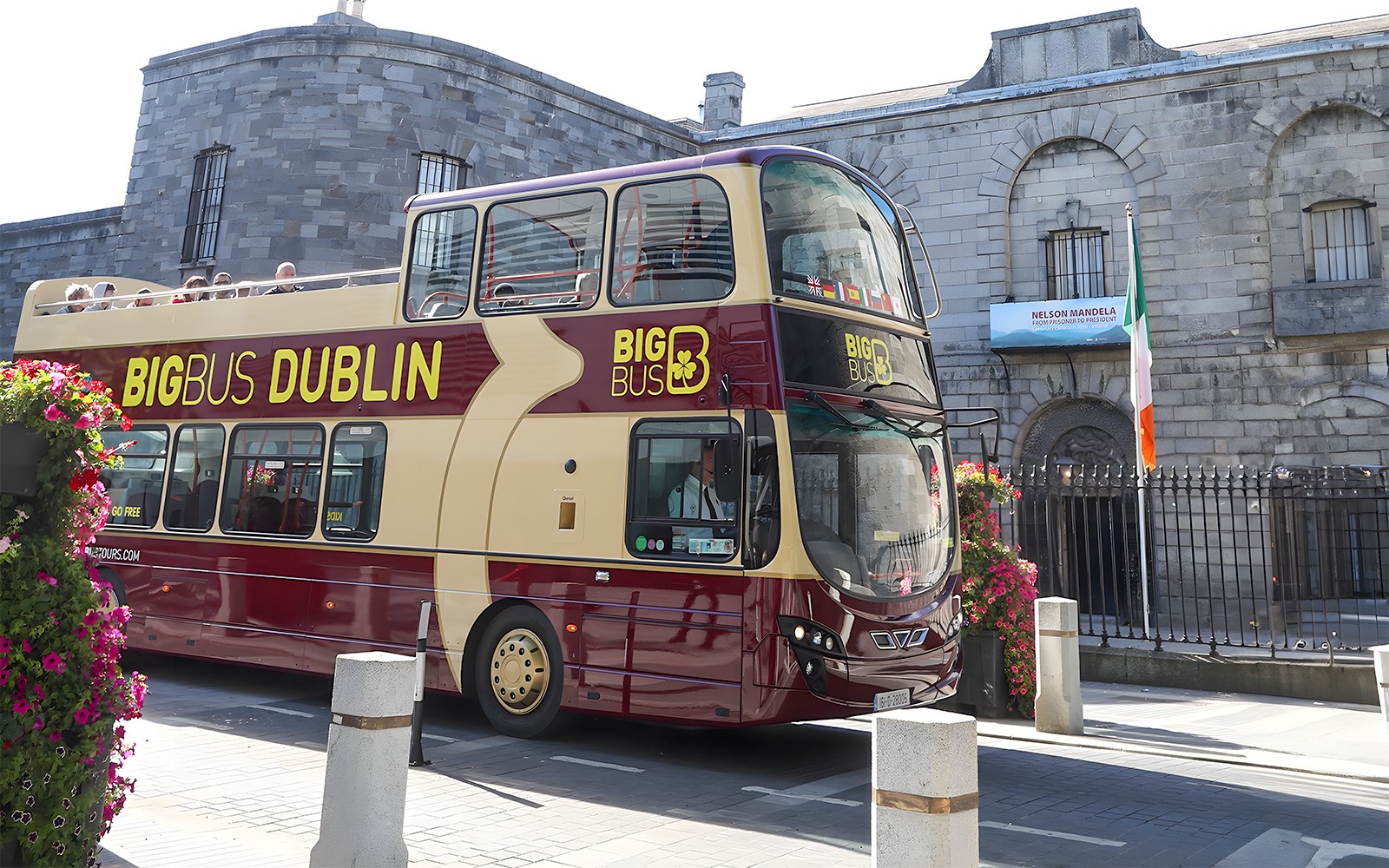 Combo: Dublin Hop-on Hop-off Bus Tour + Guinness Storehouse & Gravity Bar Tickets — gallery 5