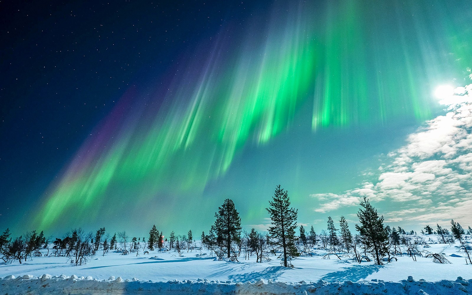 Tromso: Northern Lights Chase Tour — gallery 2