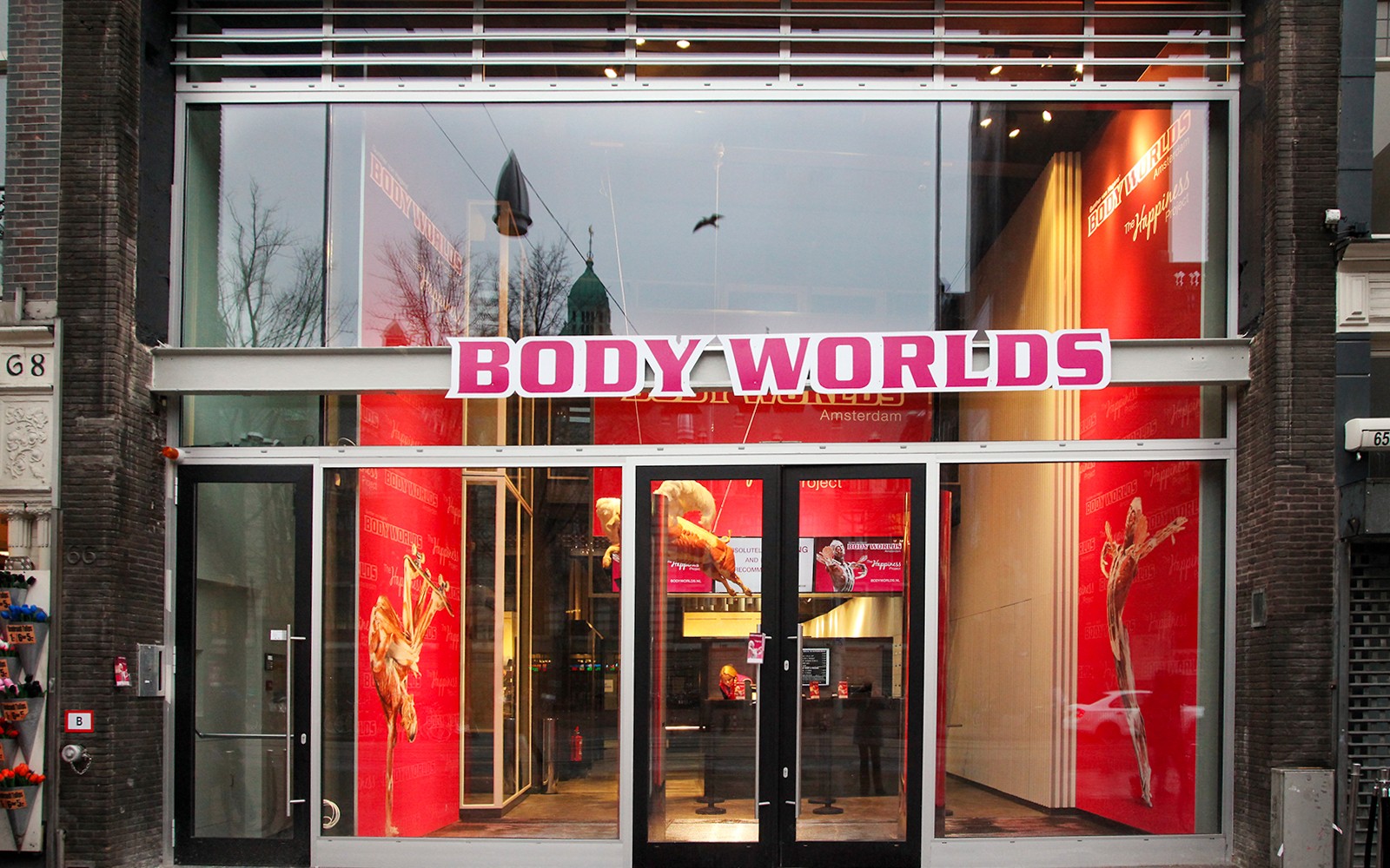 Body Worlds Amsterdam: The Happiness Project Skip-the-Line Tickets — gallery 3