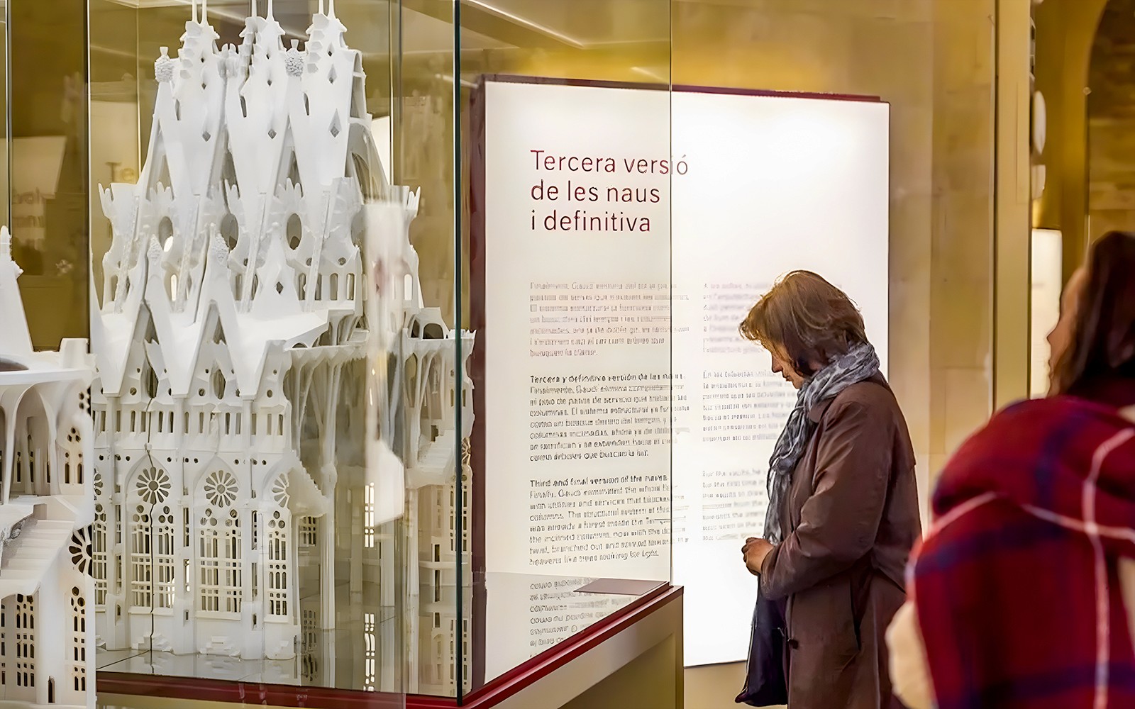 Sagrada Familia Fast-Track Guided Tour with Towers Access