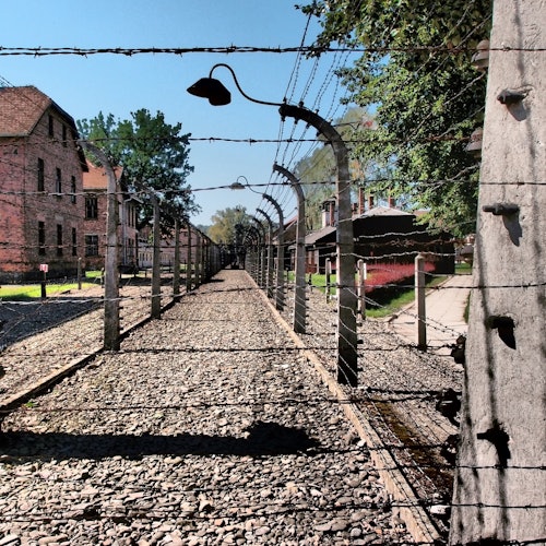 Auschwitz-Birkenau: Guided Tour + Transport — gallery 4
