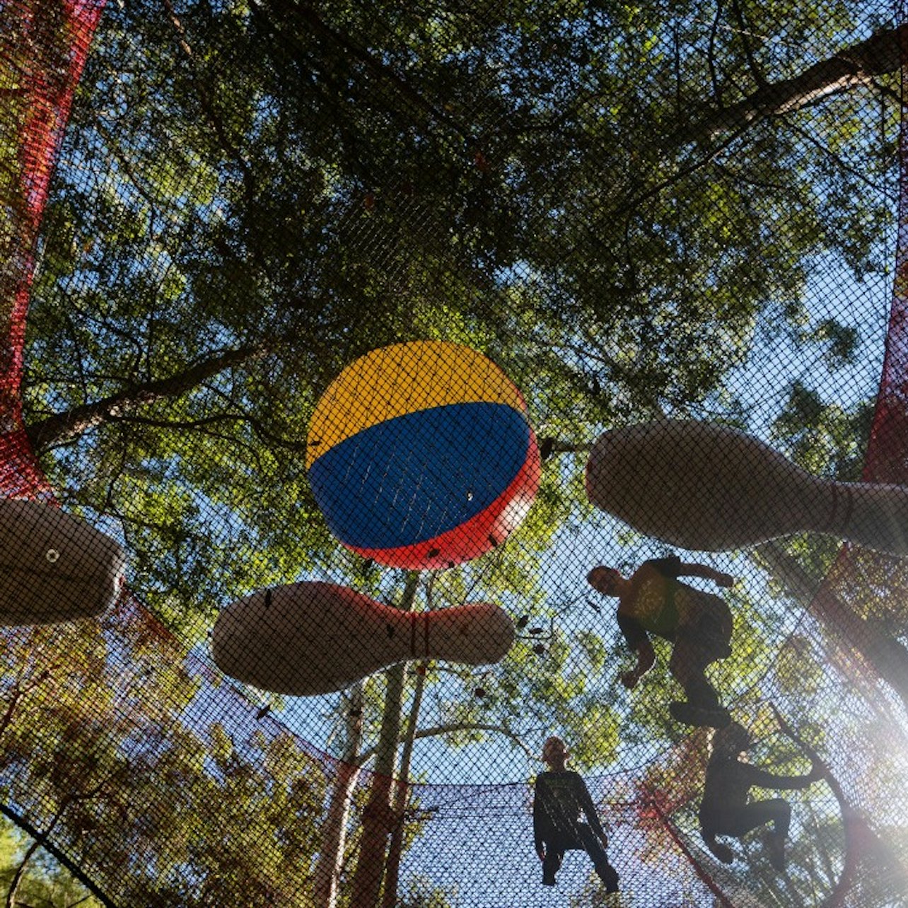 Treetops Adventure: Central Coast