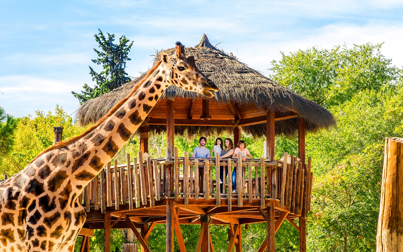 Madrid Zoo Aquarium Entry Tickets — gallery 1
